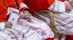 Cardinals follow the ceremony during the ordinary public consistory for the creation of new cardinals at St. Peter’s Basilica, Vatican City, Dec. 7, 2024. / Credit: Daniel Ibáñez/CNA