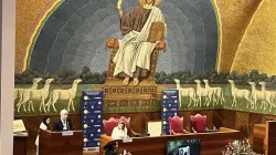 Dr. Todd Ovokaitys speaks at the World Changers Ethical & Innovation Summit at the Pontifical Lateran University in Vatican City, Nov. 26, 2024 / Credit: Courtney Mares/CNA