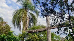 A wooden cross in the rainforest. Stock photo via Shutterstock.