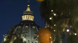 Christmas tree in St. Peter's Square on December 9, 2016. Credit: Vatican Media/CNA.