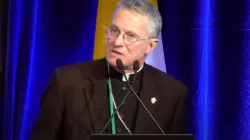 Archbishop Timothy Broglio, president of the U.S. Conference of Catholic Bishops, speaks at the USCCB fall plenary assembly Nov. 14, 2023. / Credit: USCCB video