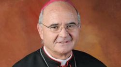 Archbishop Stephen Brislin, the Liaison Bishop of the South Africa-based Denis Hurley Peace Institute (DPHI).