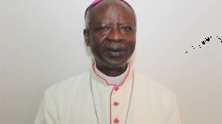 Bishop Frank Nubuasah of Botswana’s Gaborone Diocese.