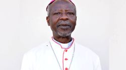 Bishop Frank Nubuasah, SVD  of Botswana's Gaborone diocese.