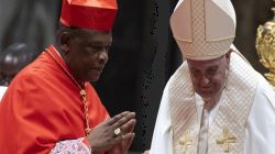 Fridolin Cardinal Ambongo at the Ordinary Public Consistory for the creation of news Cardinals / ANSA