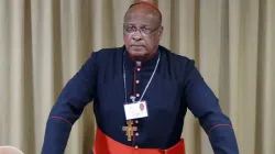 Wilfrid Fox Cardinal Napier. Credit: SACBC