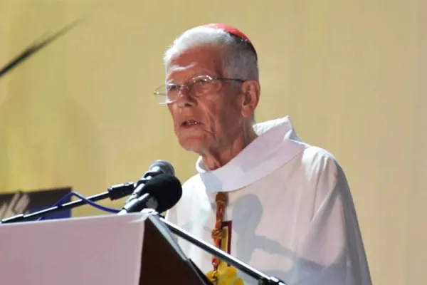 Consultations Towards Mauritius’ Recovery “dearest wish” of Country’s Cardinal