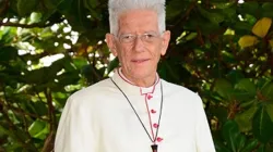 Maurice Cardinal Piat of Port Louis Diocese in Mauritius. Credit: Port Louis Diocese