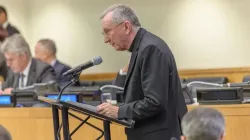 “Approximately 1 in 7 Christians [more than 365 million people] are subject to significant levels of persecution on the basis of religious beliefs. The number of attacks against Christian churches and property increased significantly in 2023, with more Christians than ever suffering violent attacks,” said Vatican Secretary of State Cardinal Pietro Parolin during his Sept. 28, 2024 address to the United Nations General Assembly. / Credit: The Official CTBTO Photostream (2019 Comprehensive Nuclear-Test-Ban Treaty Article XIV Conference)/ ]Wikimedia Commons