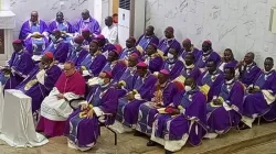 Members of the Catholic Bishops’ Conference of Nigeria (CBCN). Credit: CBCN