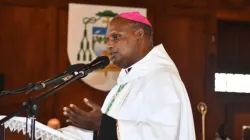 Bishop Jean Michaël Durhône during the Memorial of St. Louis, the Patron Saint of Mauritius’ Port Louis Diocese. Credit: Port Louis Diocese