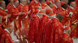 The College of Cardinals celebrates Mass on March 12, 2013, before entering the Sistine Chapel for the papal conclave. | Credit: Jeffrey Bruno/CNA