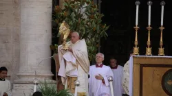 This year Pope Francis did not walk in the Eucharistic procession, but joined at the end for adoration of the Blessed Sacrament and to offer the Eucharistic blessing. / Credit: Elizabeth Alva/EWTN News