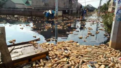 A flooded neighborhood in DR Congo's capital, Kinshasa. Credit: Caritas Congo Asbl