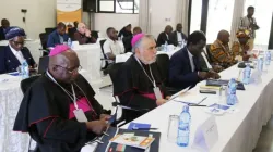 A section of participants at the July 14-19 meeting of the sub-region Conference of Catholic Bishops in Malawi, Zambia, and Zimbabwe. Credit: ECM