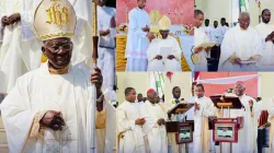 Francis Cardinal Arinze during the centenary celebrations of Bigard Memorial Major Seminary. Credit: Bigard Memorial Major Seminary