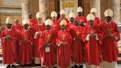 Members of the Episcopal Conference of Mozambique (CEM). Credit: Catholic Diocese of Pemba