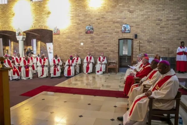 Members of the Southern African Catholic Bishops’ Conference (SACBC). Credit: SACBC