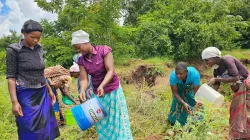 Violet-Makaika,-Ellen-Carlos,-Idah-Isaac-and-Wines-Sopo-watering-the-recently-planted-trees-as-part-of-Trócaire's-reforestation-support. Credit: Trócaire