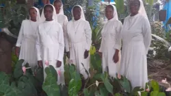 Some members of the Franciscan Sisters Servants Restorers of Jesus in the Blessed Sacrament (SFRJS) in Angola, Credit: Sr. Emiliana Bundo