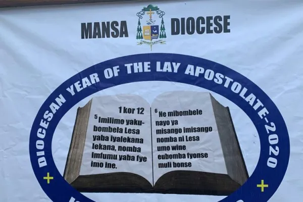 A poster for the Diocesan Year of the Apostolate celebrated this year in the Diocese of Mansa. / Facebook Page Diocese of Mansa.