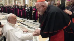 Cardinal Reinhard Marx and fellow bishops from Germany meeting with Pope Francis at the Vatican, Nov. 17, 2022 | Vatican Media