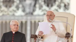 Pope Francis during the 500th general audience of his pontificate, held in St. Peter’s Square on Sept. 25, 2024, spoke about pornography and how to avoid the temptation to sin. / Credit: Daniel Ibañez/CNA