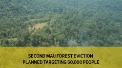 A section of Kenya's Mau Forest, East Africa’s largest indigenous montane forest. Evictions have been undertaken to restore the water catchment area. Catholic want a humane approach to the evictions.