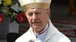 Cardinal Jozef Tomko in 2018 at a shrine on Mount Zvir, above the village of Litmanová, Slovakia. Sirocan69 via Wikimedia CC BY-SA 4.0