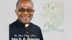 Msgr. John Aniagwu. Credit: Courtesy Photo