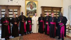 Bishops of the Zimbabwe Catholic Bishops’ Conference (ZCBC) with Pope Francis in Rome during their Adlimina visit.