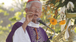 Maurice Cardinal Piat, Bishop of Port Louis in Mauritius. / Diocese of Port Louis