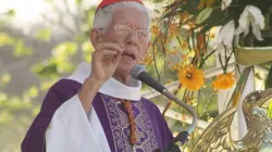 Maurice Cardinal Piat, Bishop of Port Louis in Mauritius. Credit: Port Louis Diocese