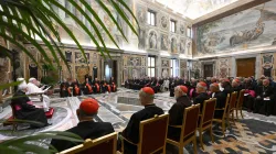 Pope Francis meets with the Dicastery for Culture and Education at the Vatican on Nov. 21, 2024. / Credit: Vatican Media