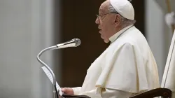 Pope Francis speaks to pilgrims gathered in the Paul VI Audience Hall for his general audience on Wednesday, Dec. 11, 2024, at the Vatican. / Credit: Vatican Media