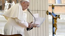 Pope Francis addresses pilgrims gathered in St. Peter’s Square for his Wednesday general audience on April 17, 2024, at the Vatican. / Credit: Vatican Media