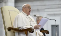 Pope Francis addresses pilgrims gathered for his Wednesday general audience on Nov. 20, 2024, in St. Peter’s Square at the Vatican. / Credit: Vatican Media