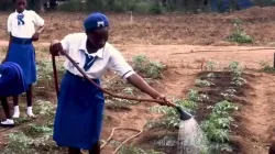 Salesians in Lungi, Sierra Leone, start a Climate Club to focus on environmental education for youth. Credit: Salesian Missions