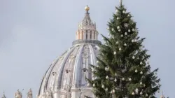 A Christmas tree in St. Peter's Square. | Daniel Ibáñez/CNA.