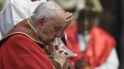 Pope Francis praying in St. Peter's Basilica on All Souls' Day, 2 November 2022 | Vatican Media