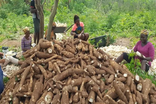 40 farmers receive training in better methods of crop production in Nigeria’s Catholic Diocese of Ijebu-Ode. Credit: Salesian Missions