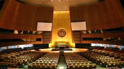 The General Assembly Hall of the UN. Credit: CitizenGO Africa