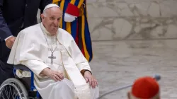 Pope Francis at the general audience in the Vatican, Aug. 24, 2022. Pablo Esparza / CNA