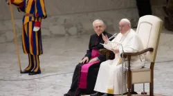 Pope Francis gives his message during the weekly general audience in the Vatican's Paul VI Hall on Jan. 4, 2023 | Daniel Ibanez/CNA